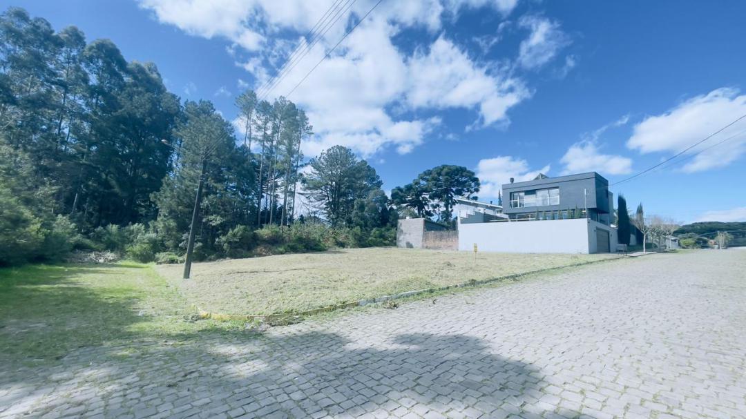 Banner Página