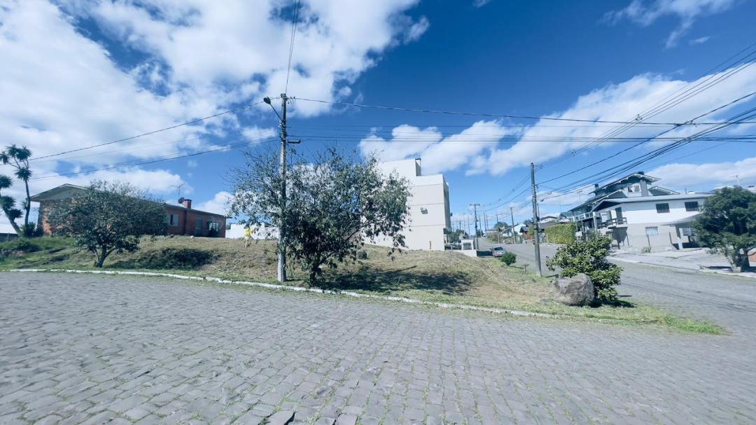 Banner Página