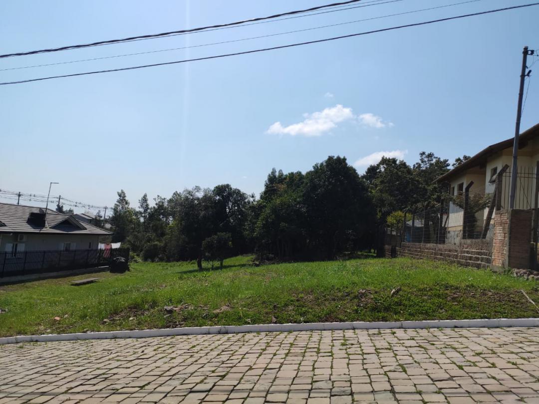 Banner Página