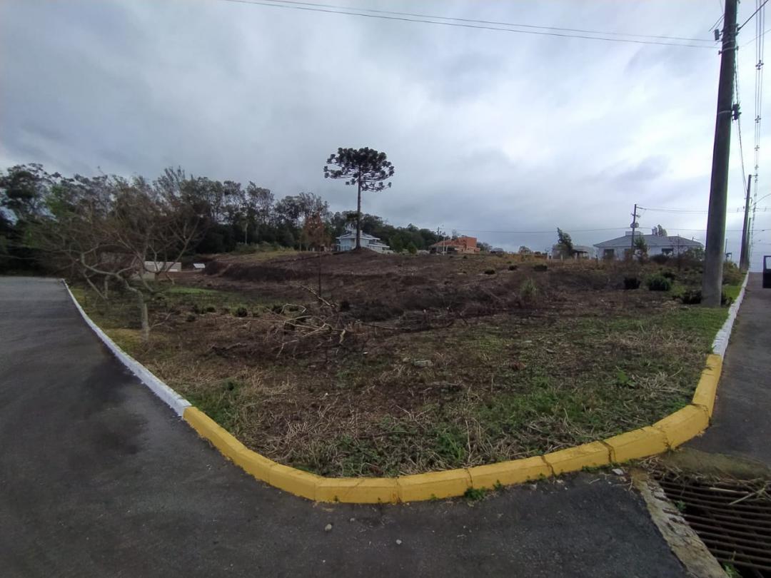Banner Página