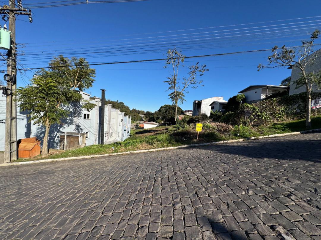 Banner Página