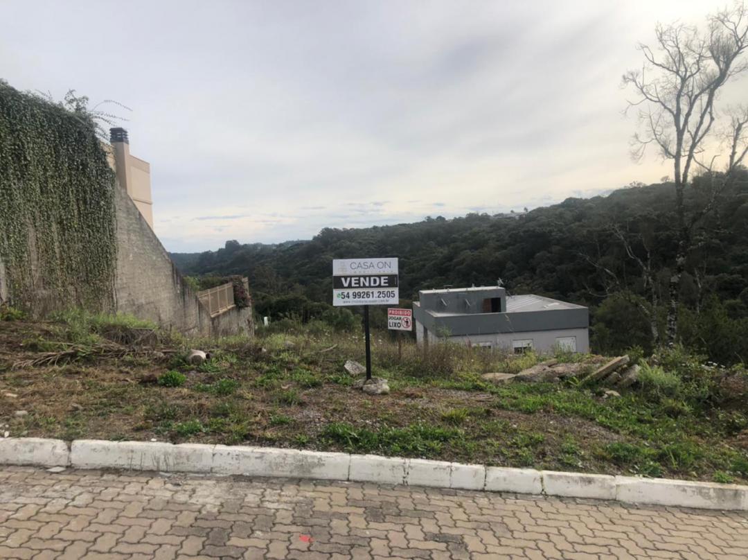 Banner Página