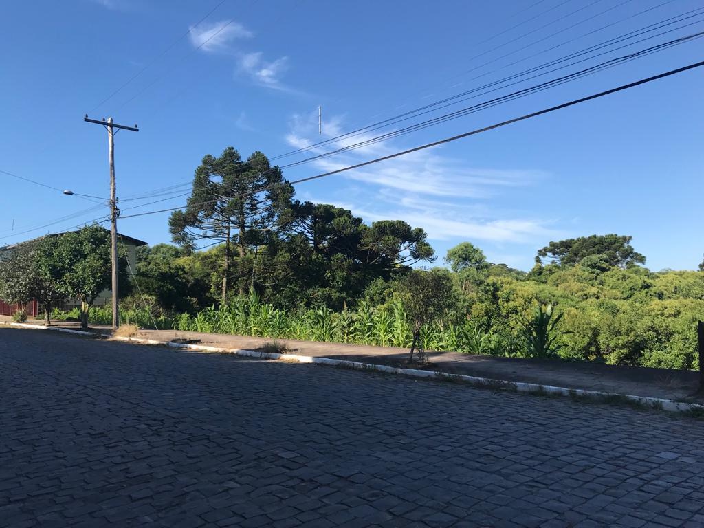Banner Página