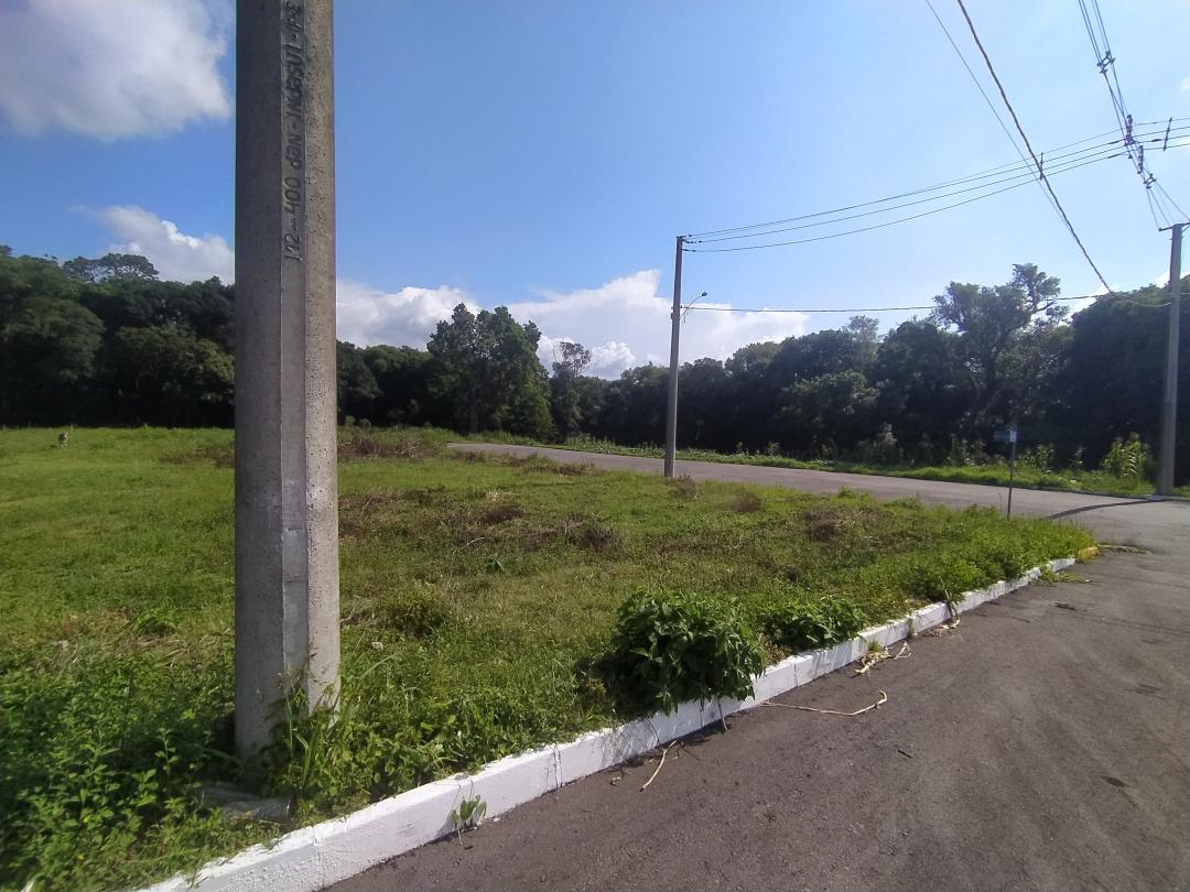 Banner Página