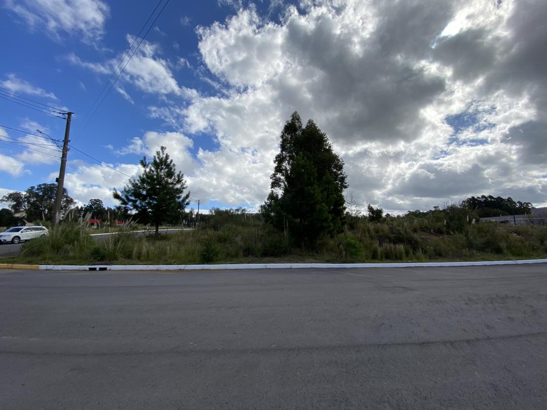 Banner Página