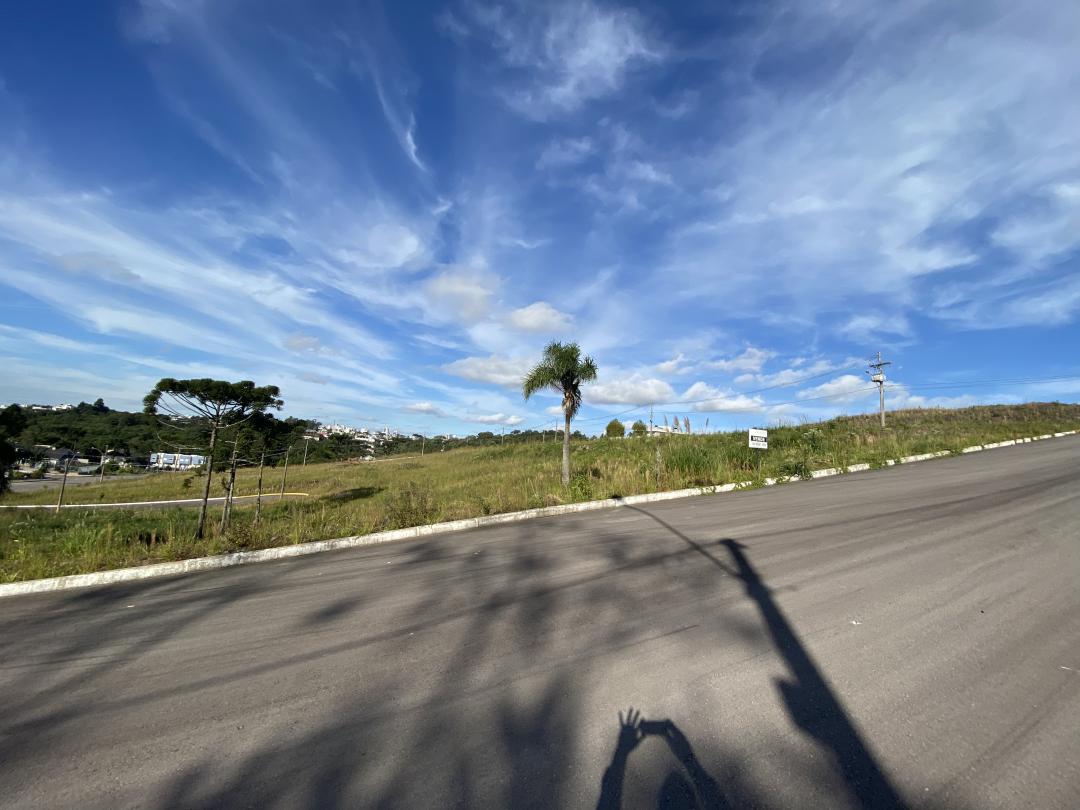 Banner Página