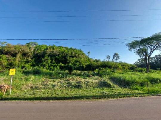 Terreno à venda no bairro , Lindolfo Collor, Referencia: 201070