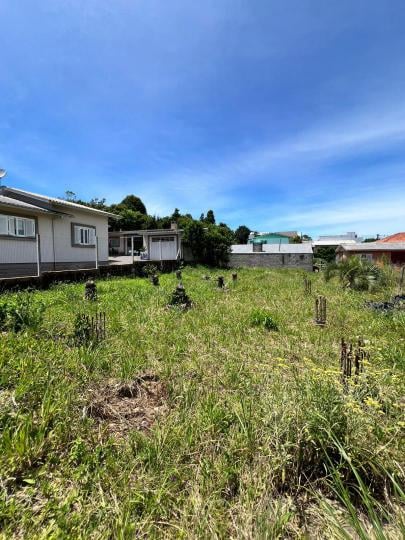 Terreno à venda no bairro Belvedere, Farroupilha, Referencia: 930