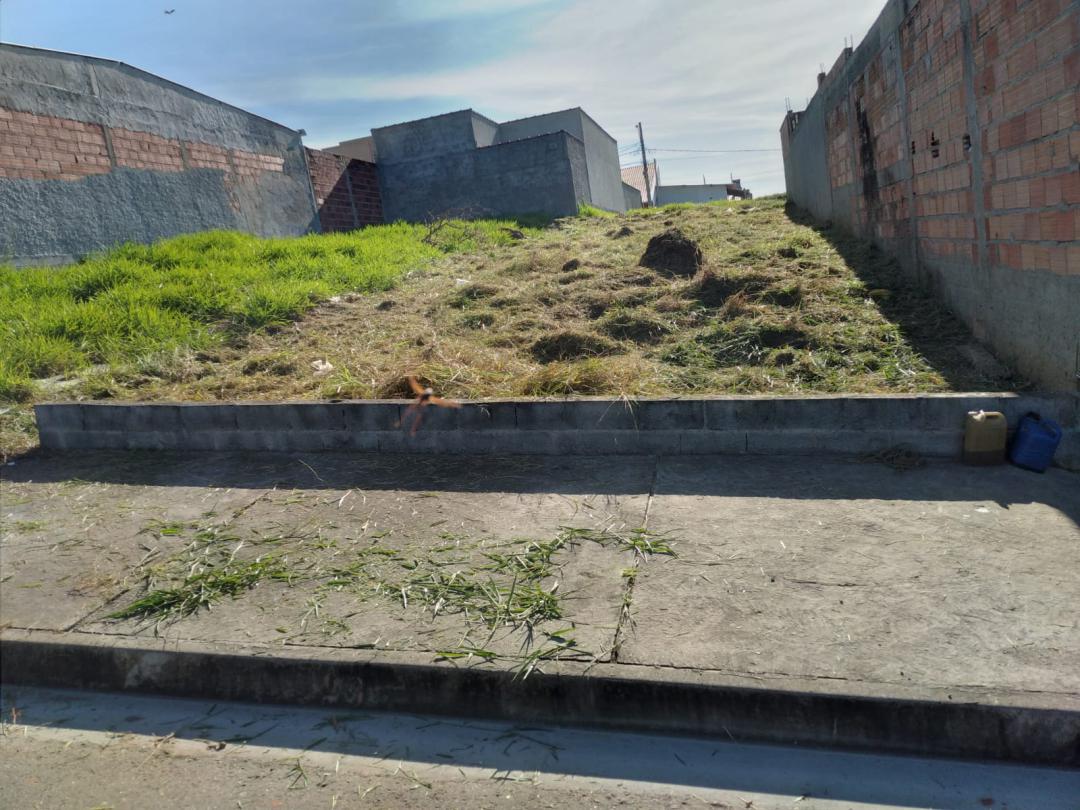 Banner Página
