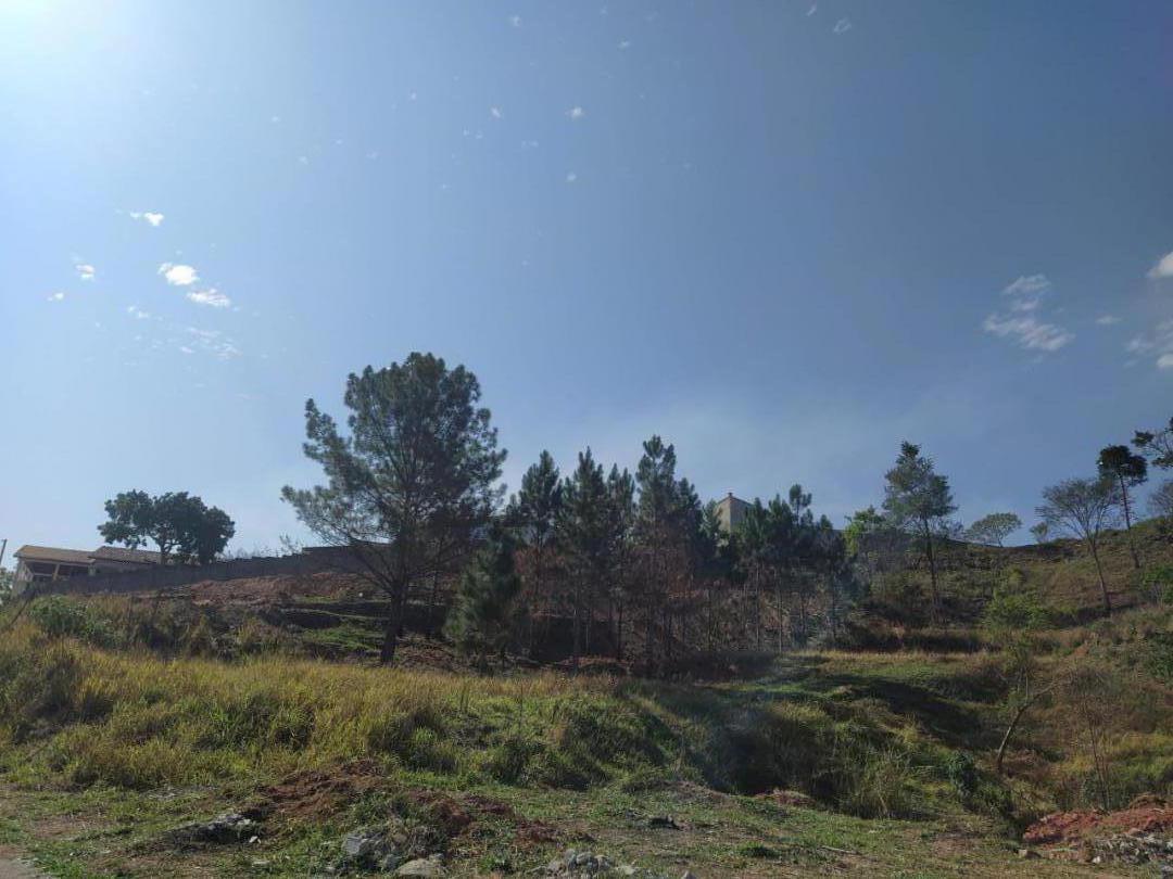 Banner Página