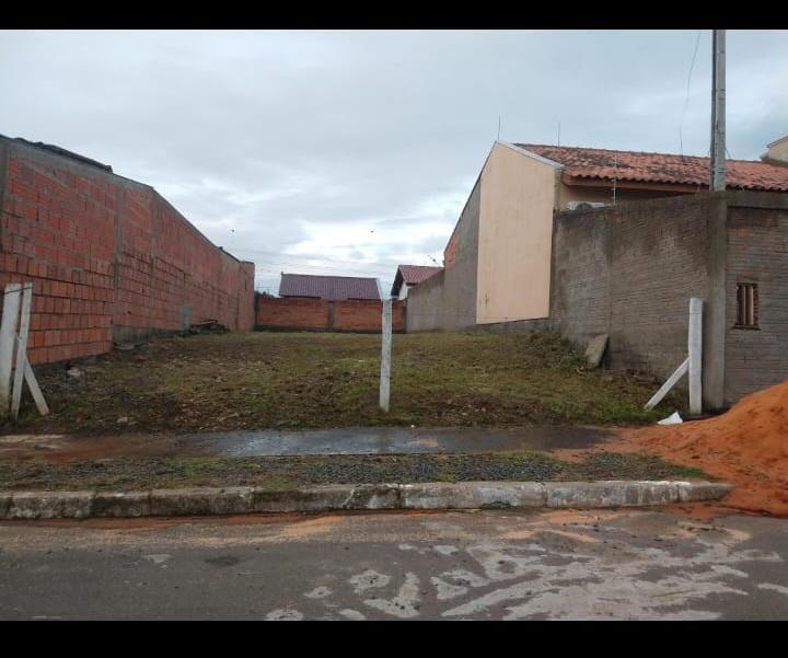 Banner Página