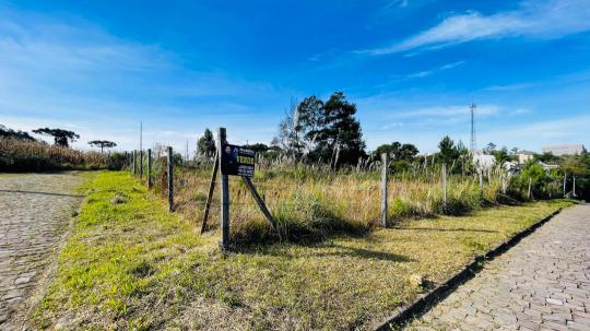 Terreno à venda no bairro São Luiz, Caxias do Sul, Referencia: TE0006