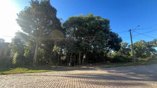 Terreno à venda no bairro Nossa Senhora do Rosário, Caxias do Sul, Referencia: TE1301