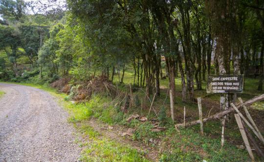 Terreno à venda no bairro Serrano, Caxias do Sul, Referencia: TE1354