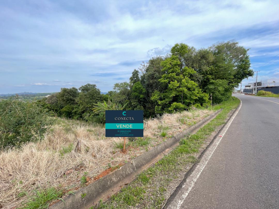 Banner Página