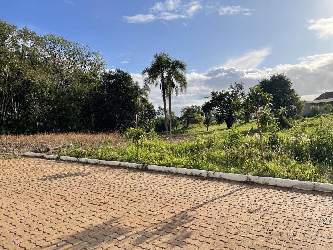 Banner Página