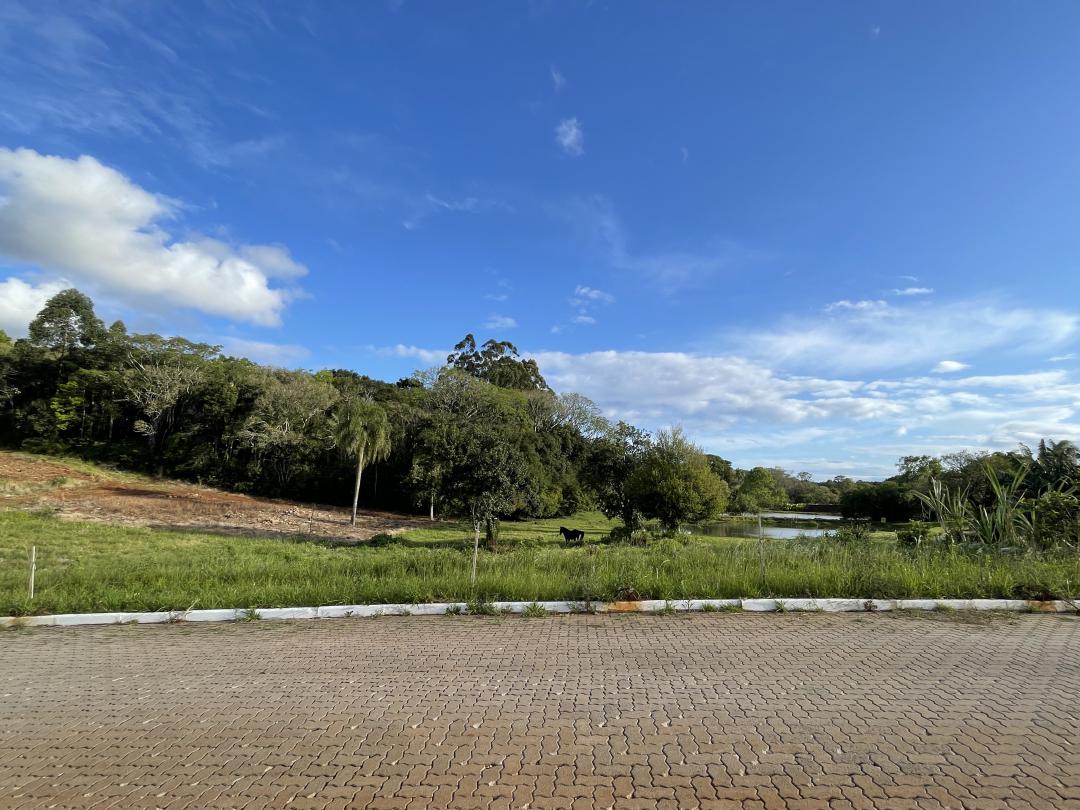 Banner Página
