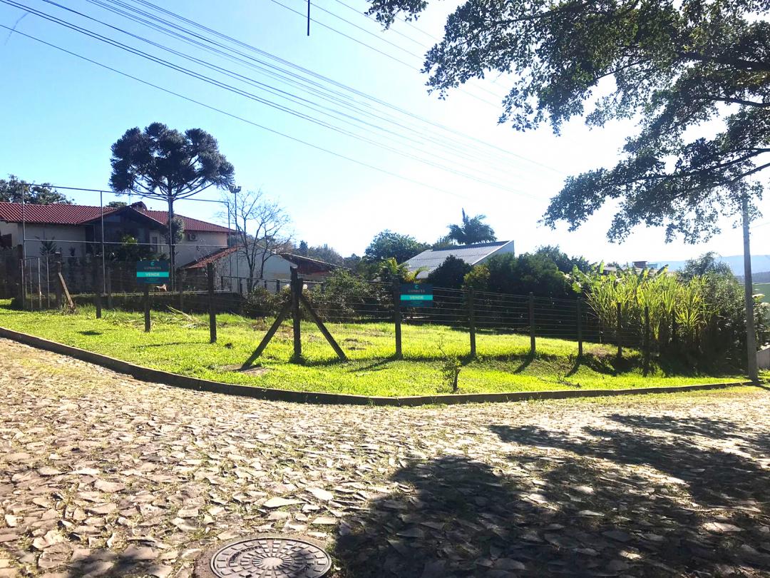 Banner Página