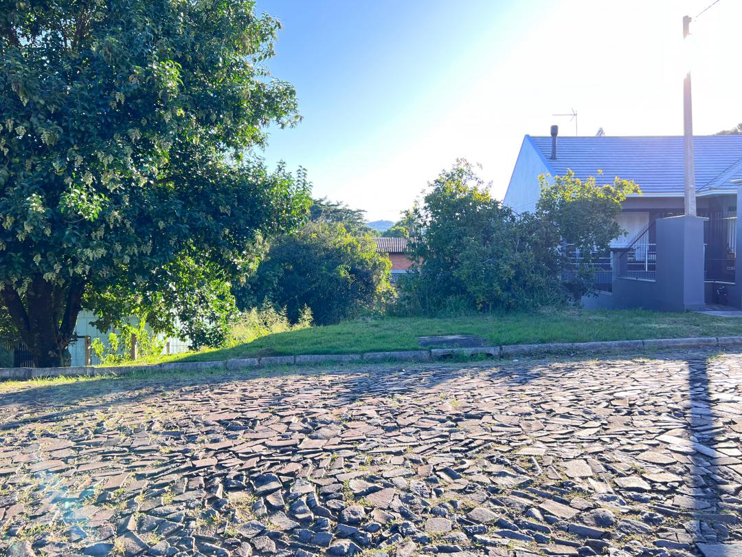 Banner Página