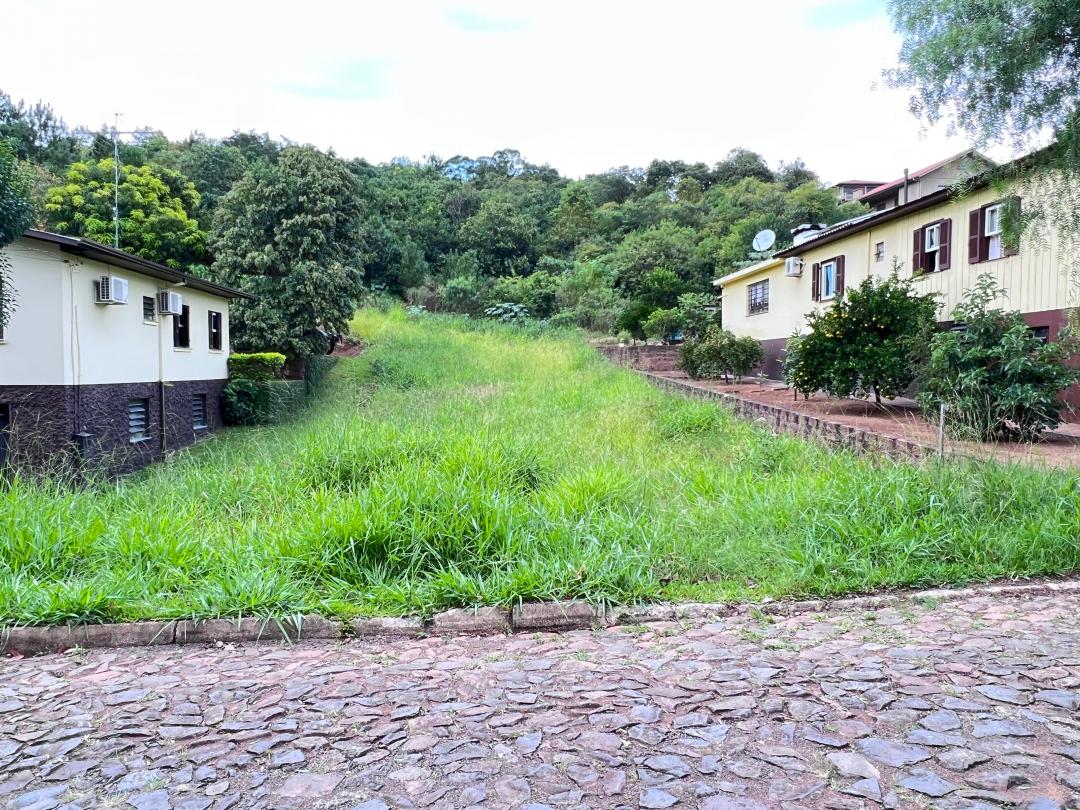 Banner Página