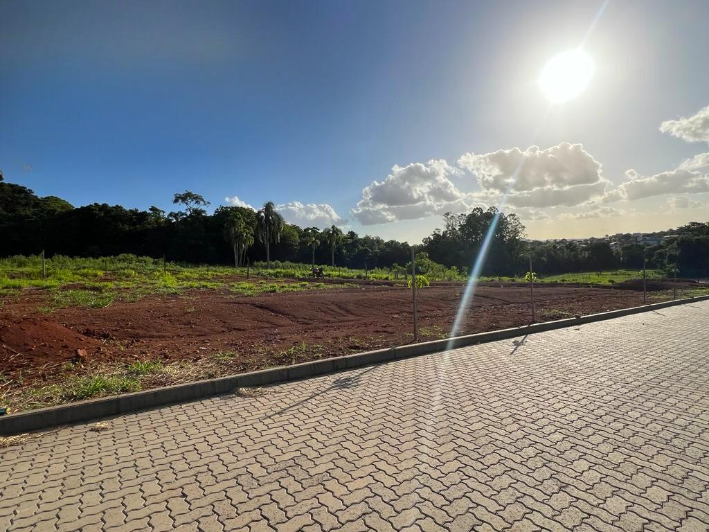Banner Página