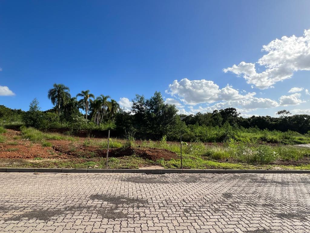Banner Página