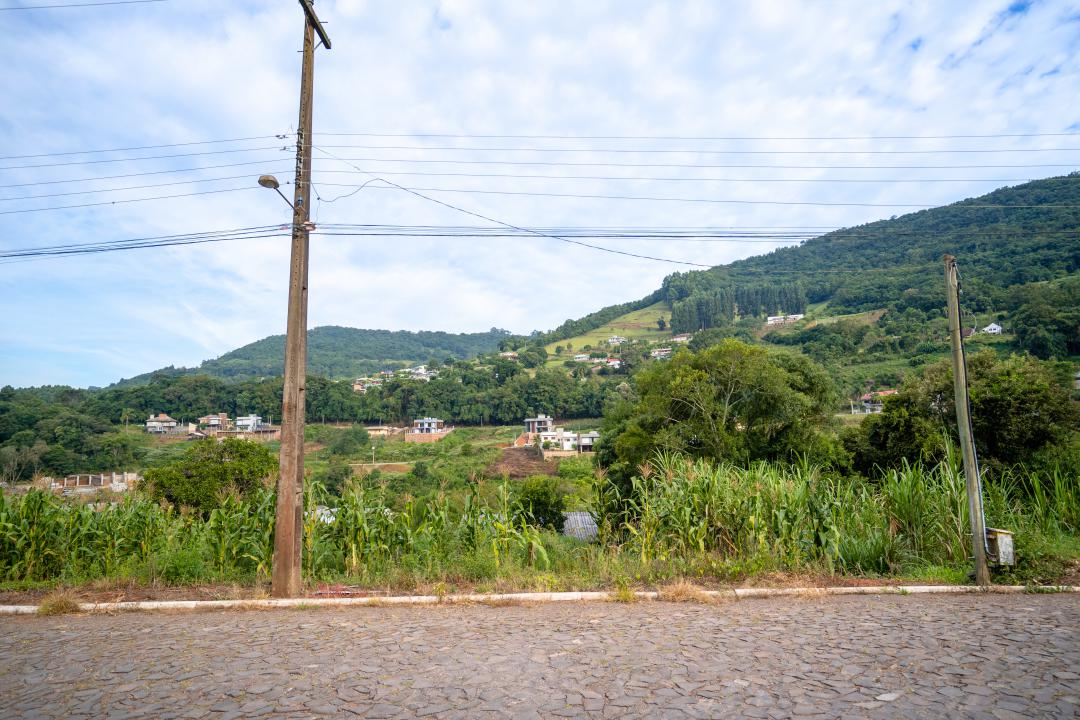 Banner Página