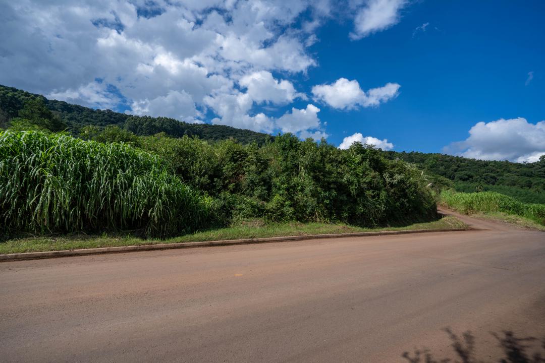 Banner Página