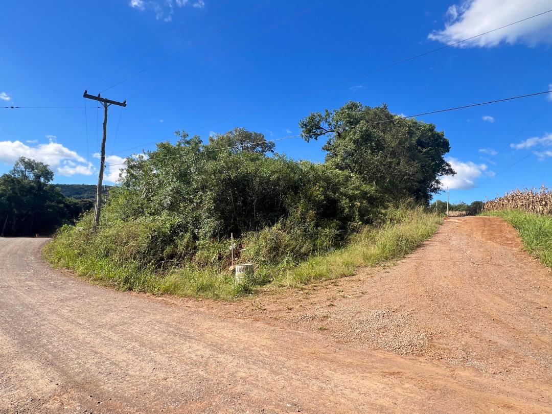 Banner Página