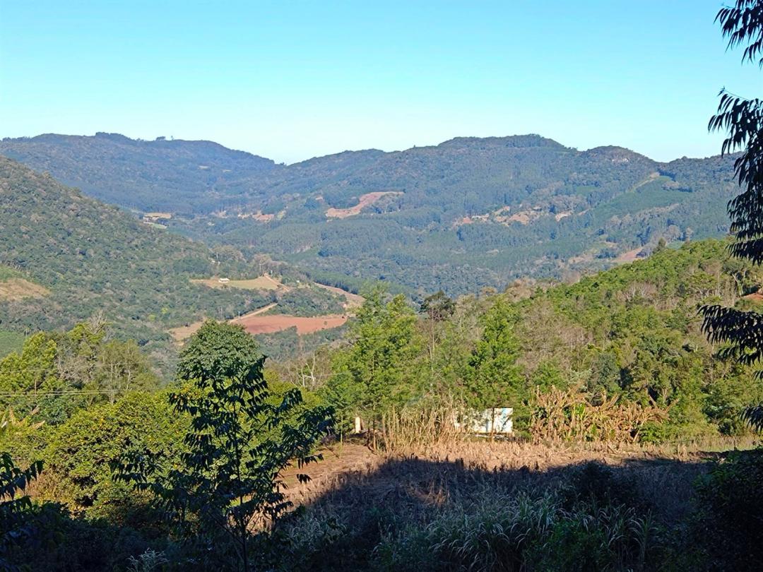 Banner Página