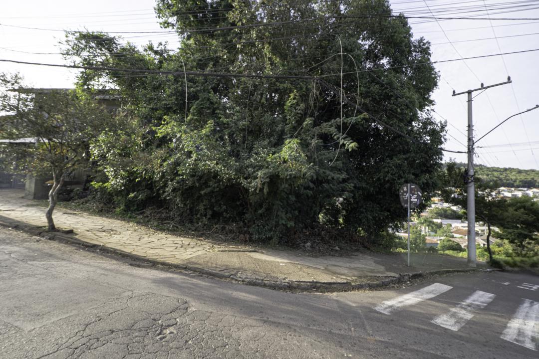 Banner Página