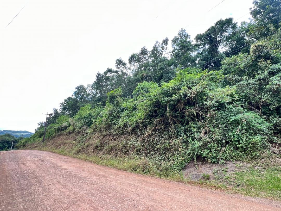 Banner Página