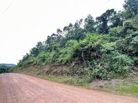 Chácara - Áreas de Terras à venda no bairro Walachai, Morro Reuter, Referencia: CH1262