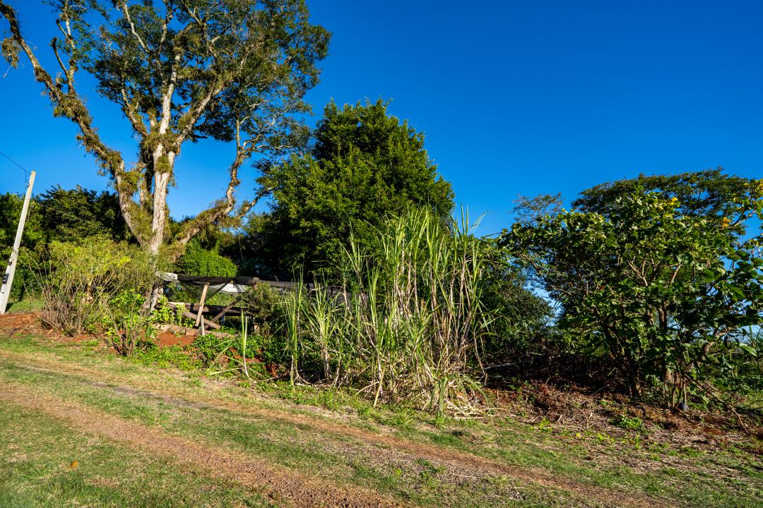 Banner Página