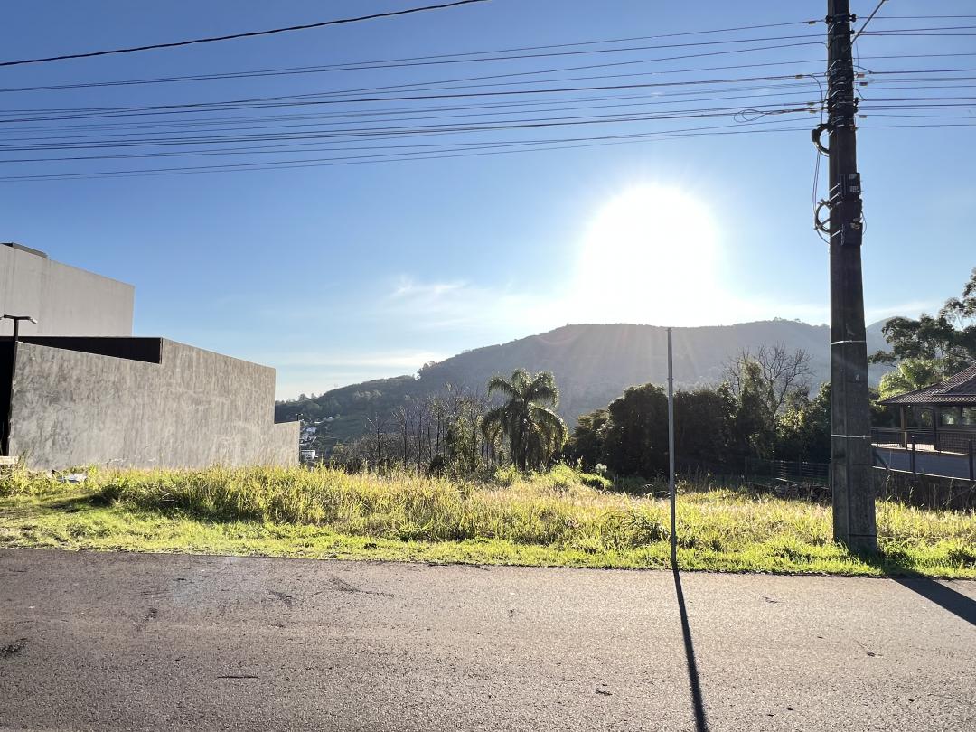 Banner Página