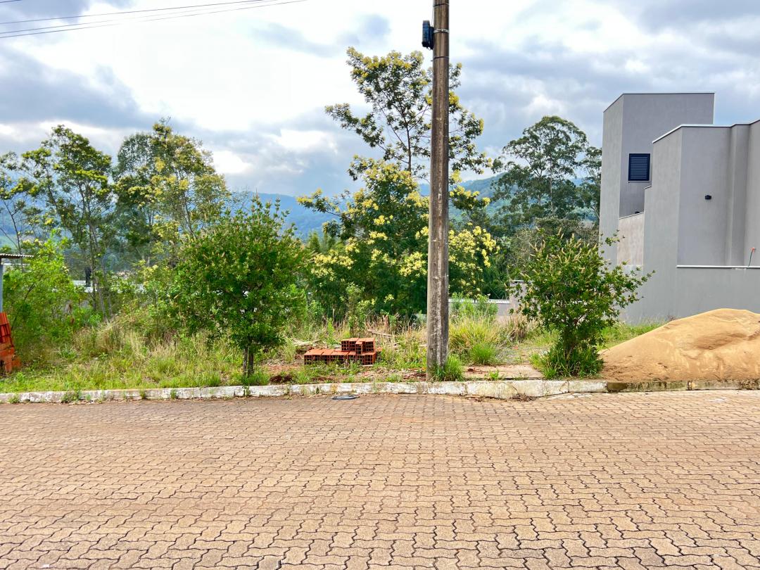 Banner Página