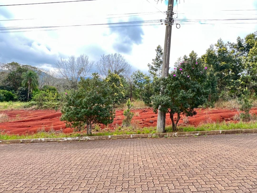 Banner Página