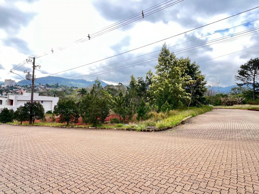 Banner Página