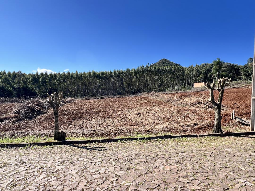Banner Página