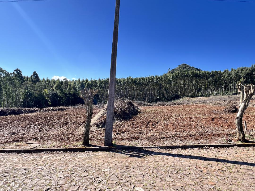 Banner Página