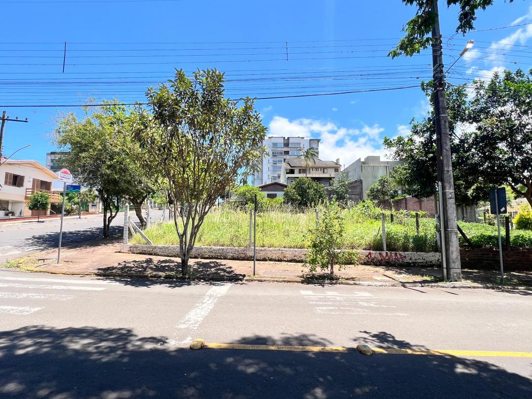 Banner Página