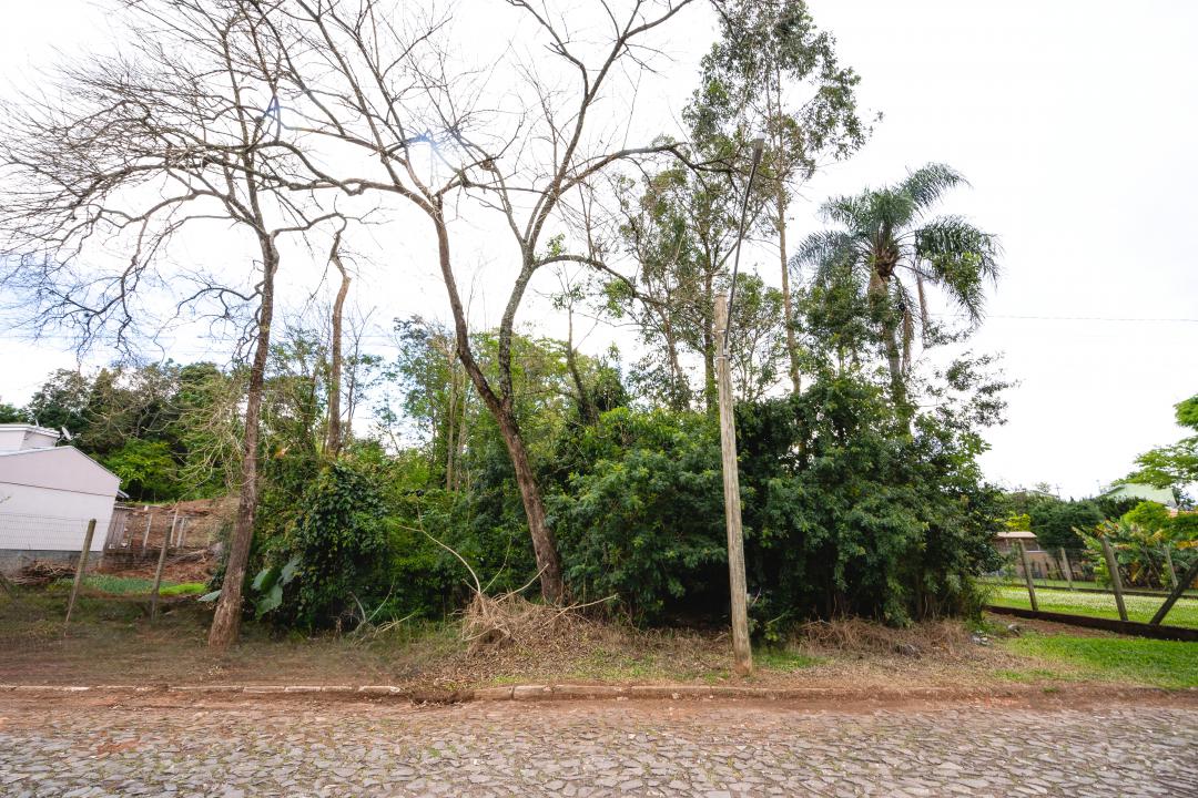 Banner Página