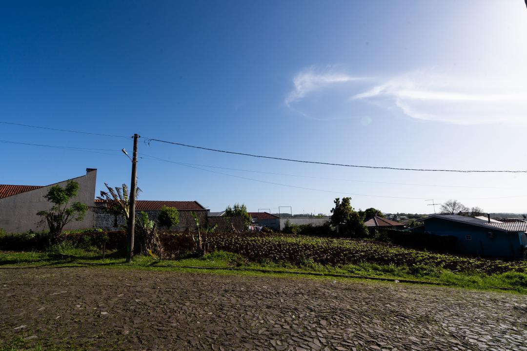 Banner Página
