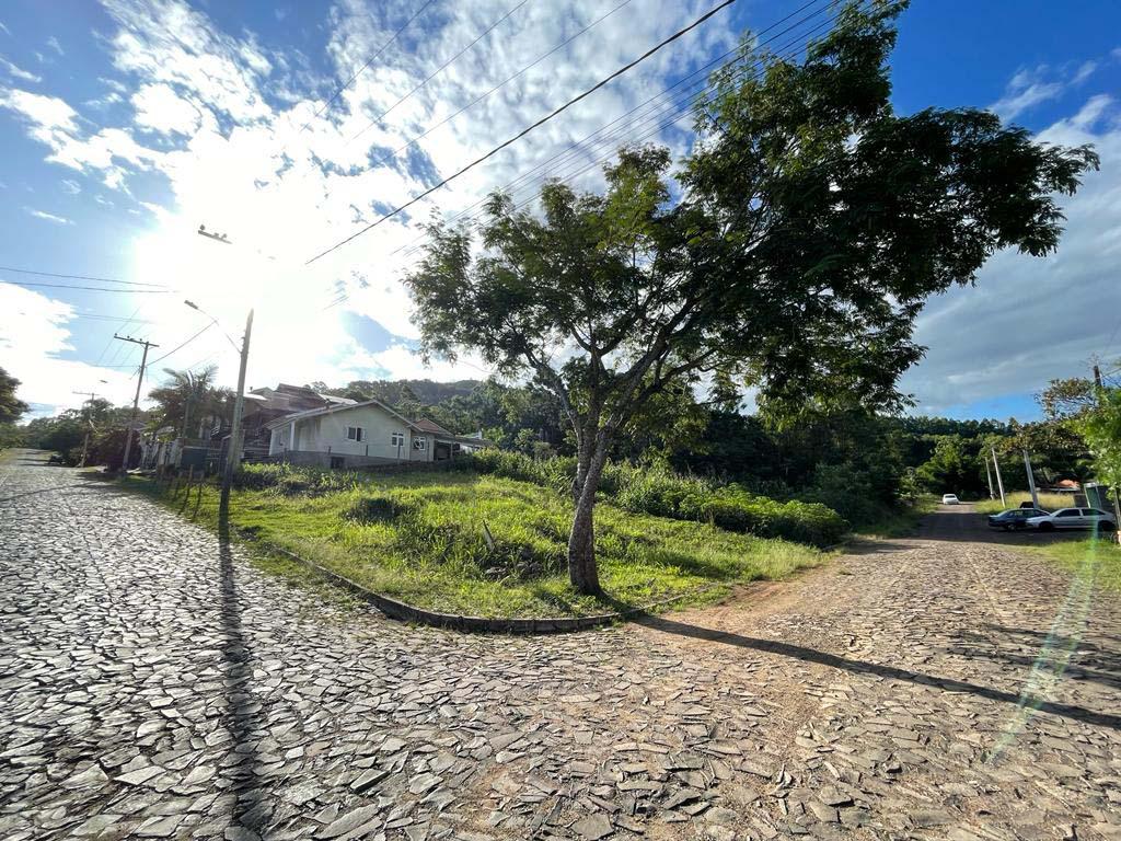 Banner Página