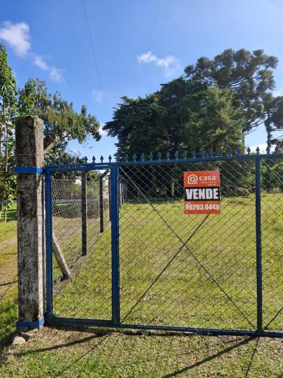 Chácara - Sítio à venda no bairro Linha Palmira, Farroupilha, Referencia: CH26
