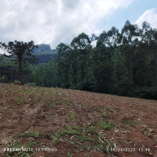 Área de Terra à venda no bairro Interior, São Vendelino, Referencia: TE96