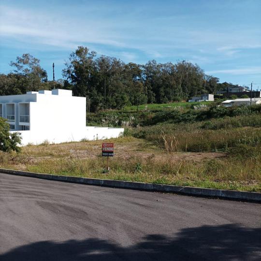 Terreno à venda no bairro LOTEAMENTO MILANES, Farroupilha, Referencia: TE 101