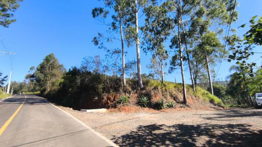 Sítio à venda no bairro Cachoeira, Portão, Referencia: 5230