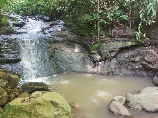 Área de Terra à venda no bairro LINHA RIACHUELO, Nova Petrópolis, Referencia: 585