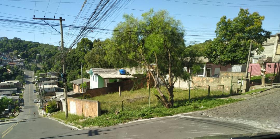 Banner Página
